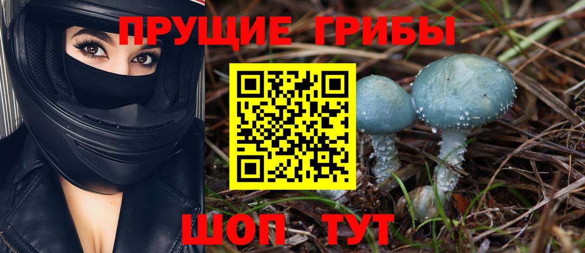Галлюциногенные грибы MAGIC MUSHROOMS  Вход с VPN  Феодосия  Галлюциногенные грибы Psilocybine cubensis 
