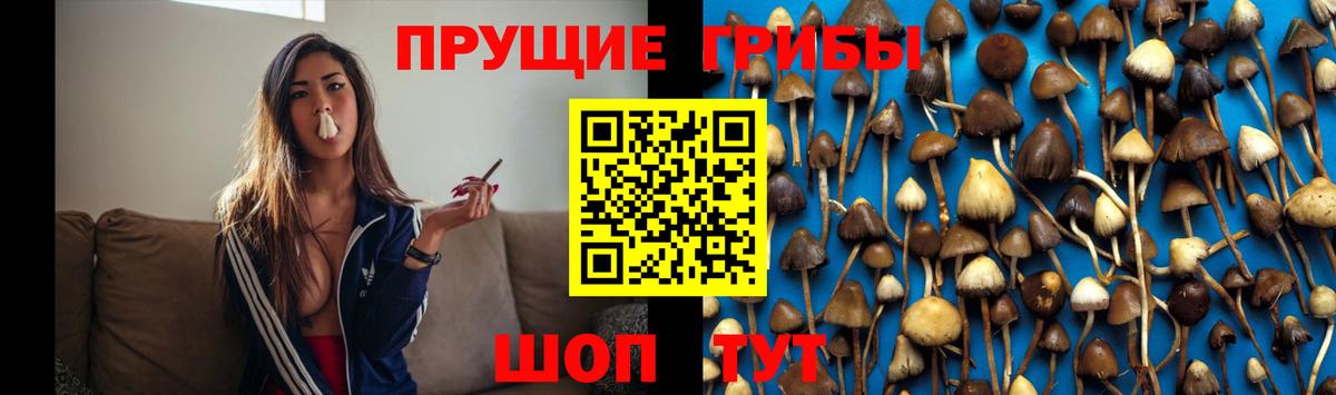 Галлюциногенные грибы Psilocybe Феодосия